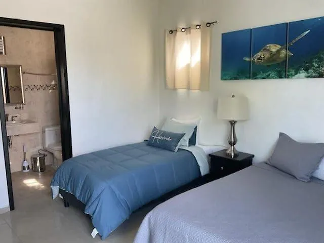 Casa Palancar With Beautiful Swimming Pool And Private Palapa Villa Cozumel Mexico